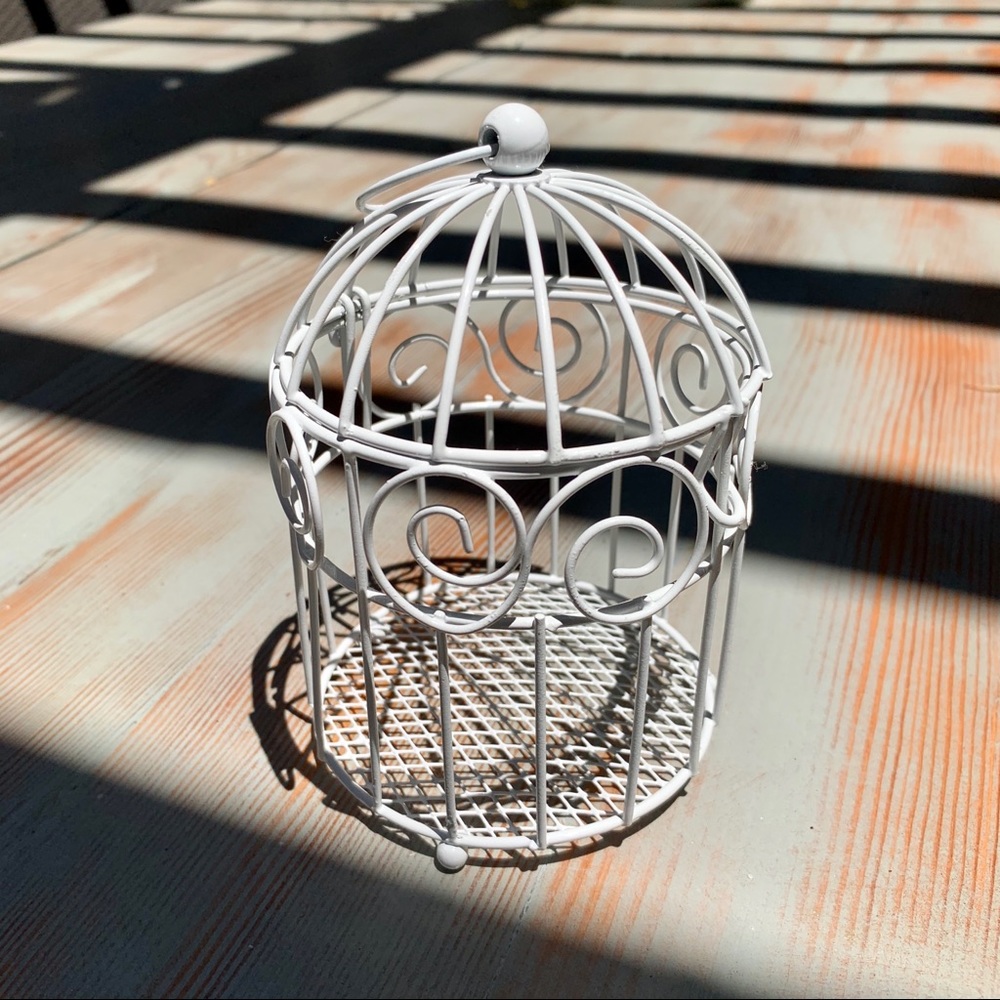 Decor || Birdcage Jewelry Display •WHITE•
